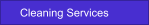 Cleaning Services
